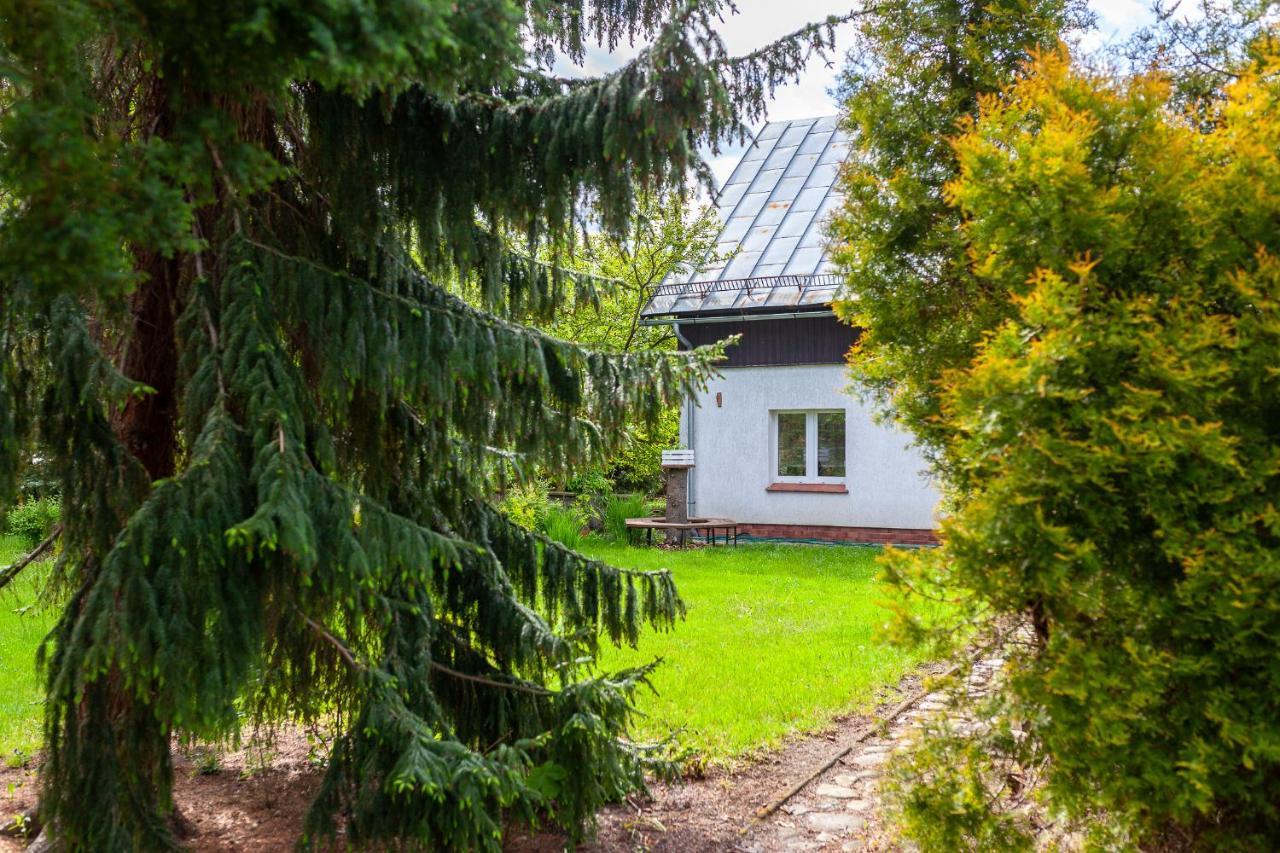 Caloroczny Dom Wakacyjny Magnolia Milkow-Karpacz Exteriör bild